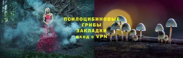 прущий лед Мегион