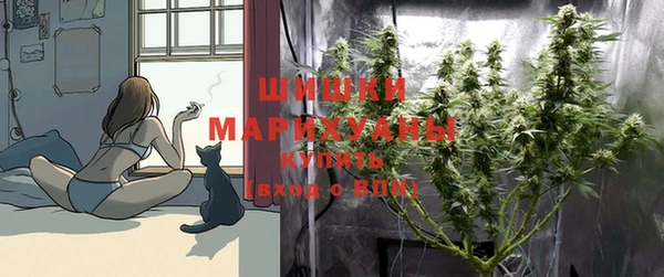 гашик Медногорск