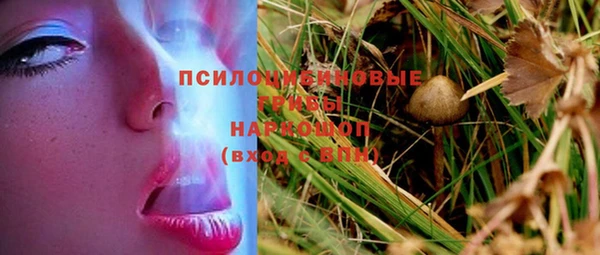 прущий лед Мегион