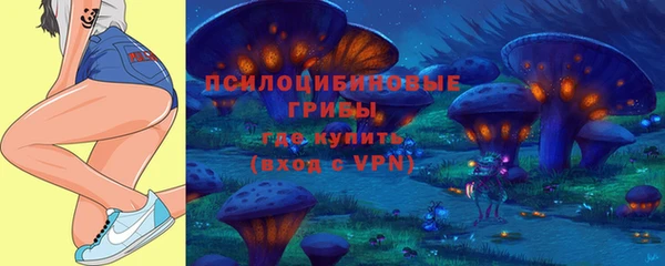 гашик Медногорск